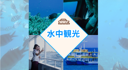 オルカ号の水中観光