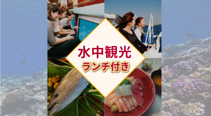 オルカ号の水中観光ランチ付き